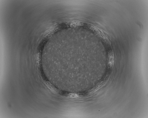 X0000115740519200912031430