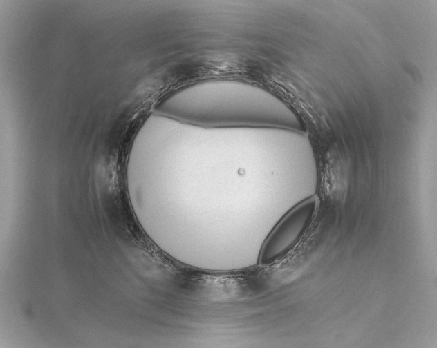 X0000115740520200912031430