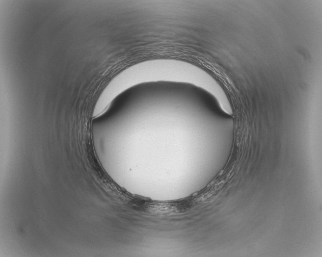 X0000115740521200912031430