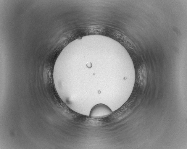 X0000115740522200912031430