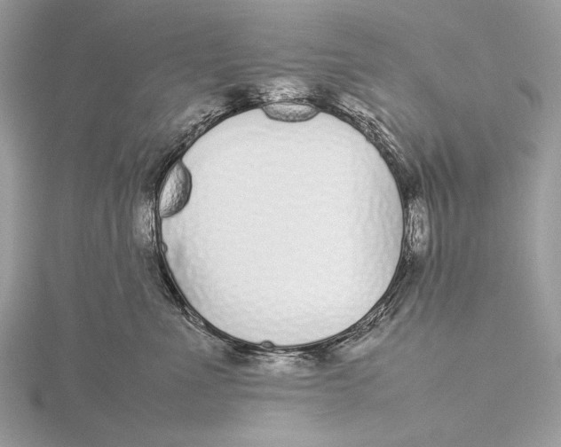 X0000115740523200912031430