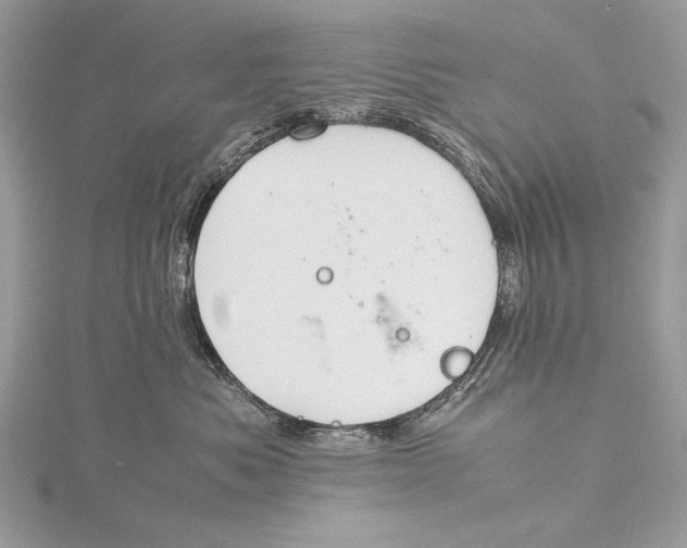 X0000115740525200912031430