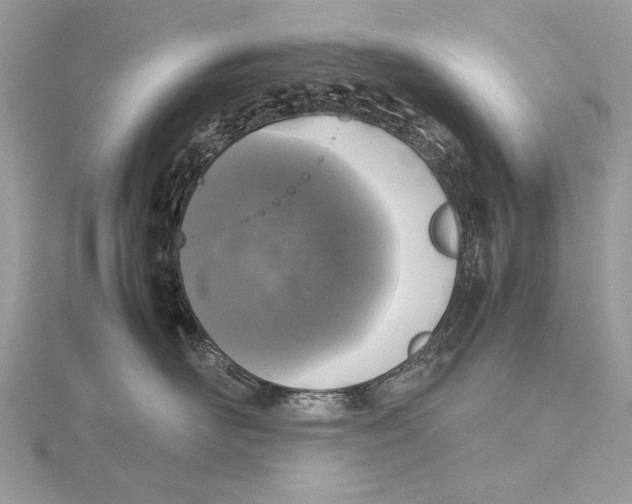 X0000115740526200912031430