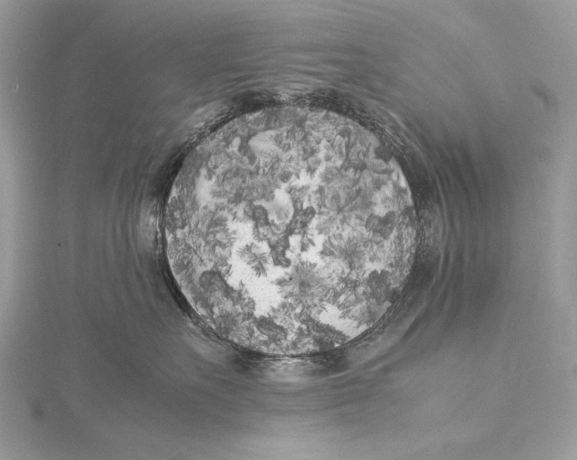 X0000115740527200912031430