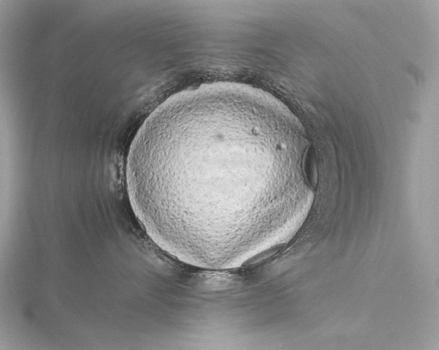 X0000115740528200912031430