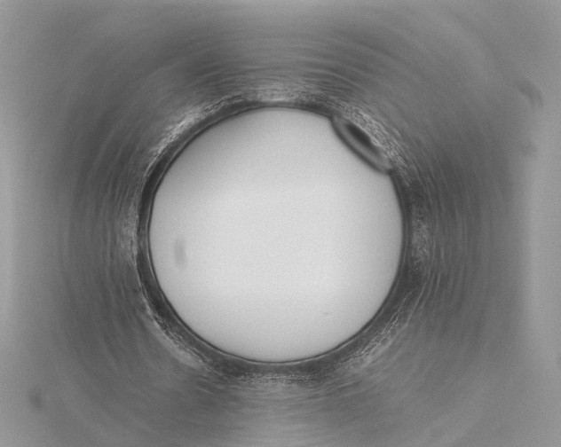 X0000115740530200912031429