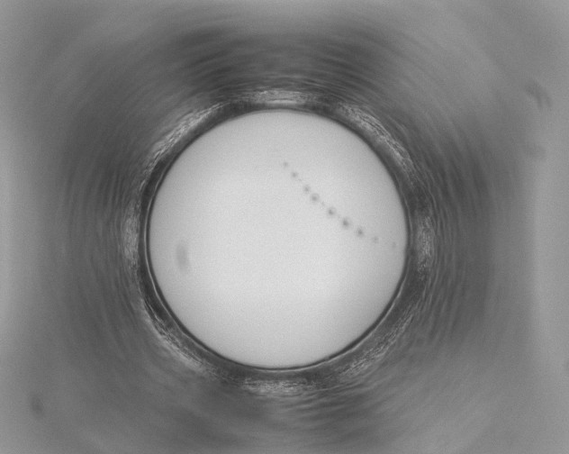 X0000115740533200912031429