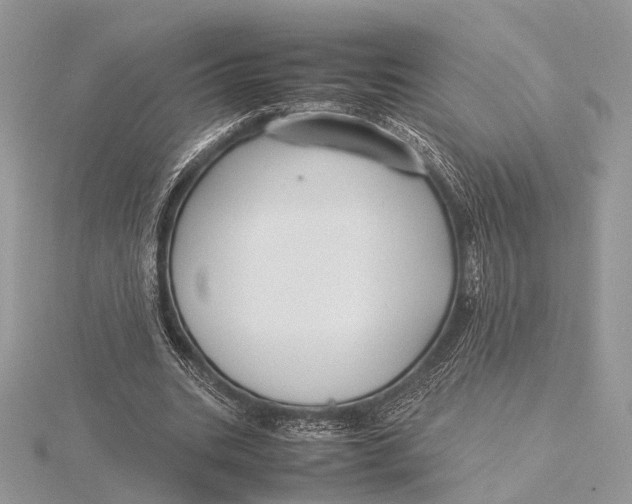 X0000115740535200912031429