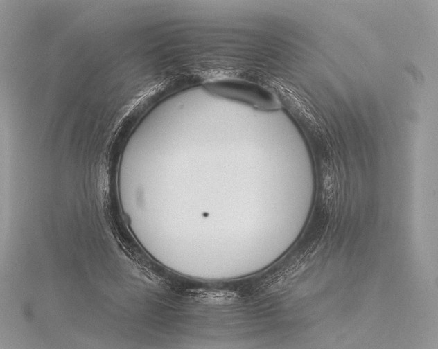 X0000115740539200912031429