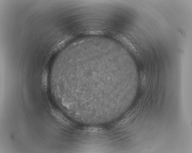 X0000115740542200912031429