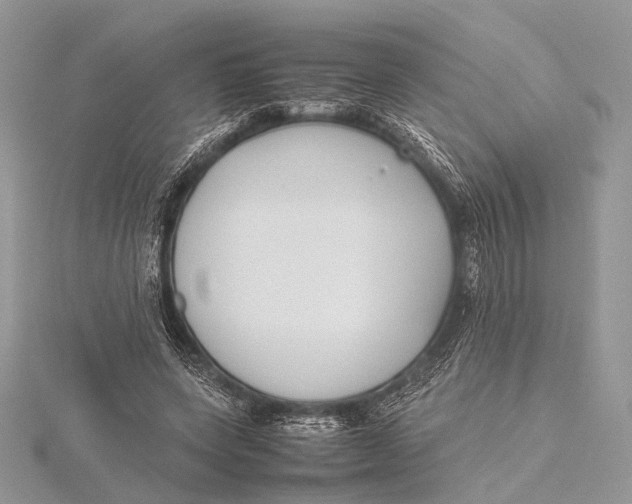 X0000115740543200912031429