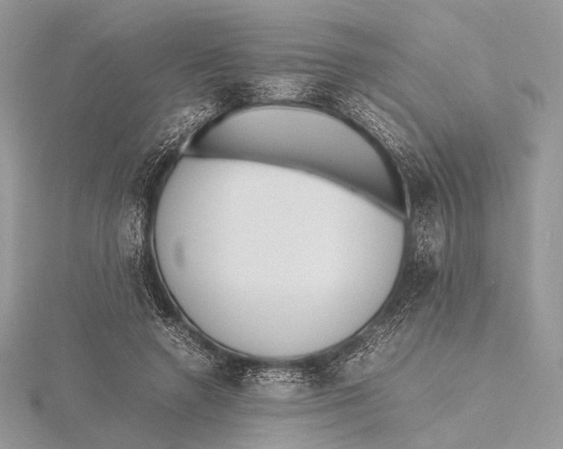 X0000115740546200912031429