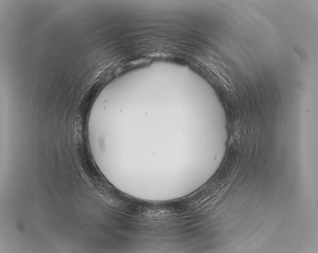 X0000115740547200912031429