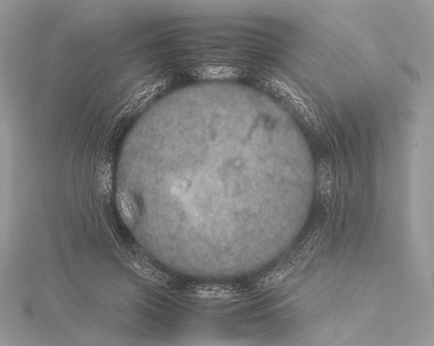 X0000115740549200912031429