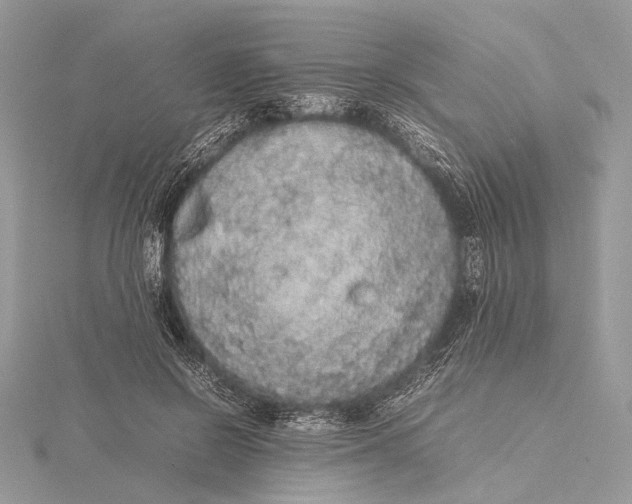 X0000115740550200912031429