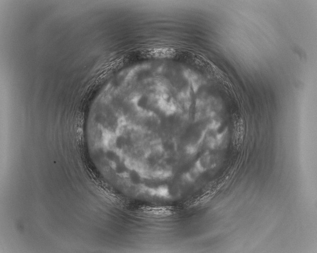 X0000115740553200912031429