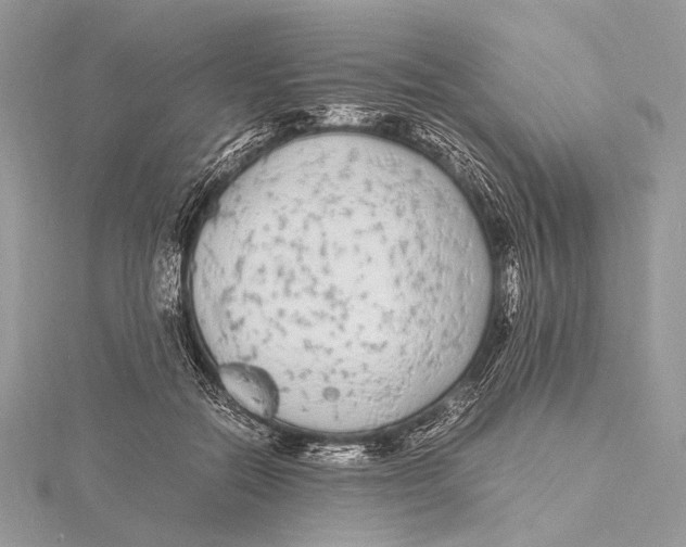 X0000115740554200912031429