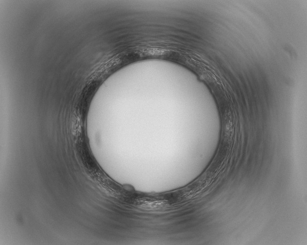 X0000115740555200912031429