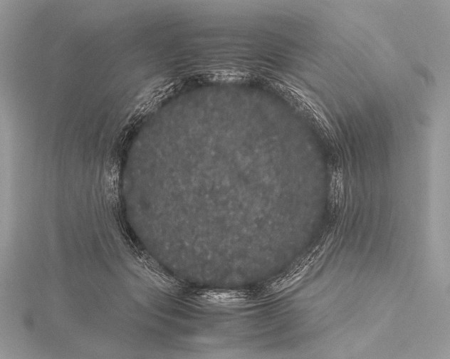 X0000115740557200912031429