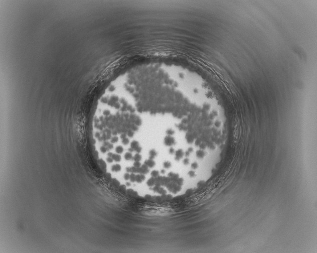 X0000115740559200912031429