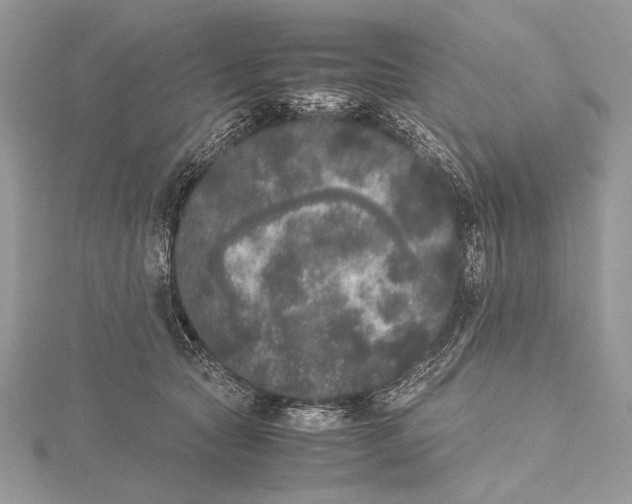 X0000115740561200912031429