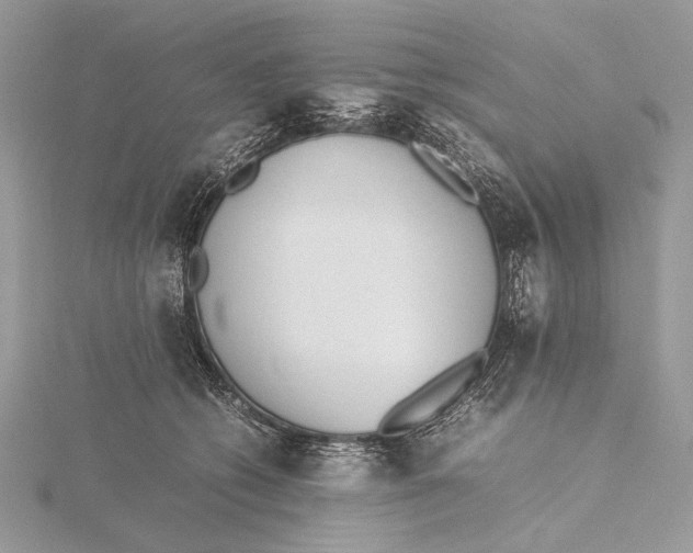 X0000115740562200912031429