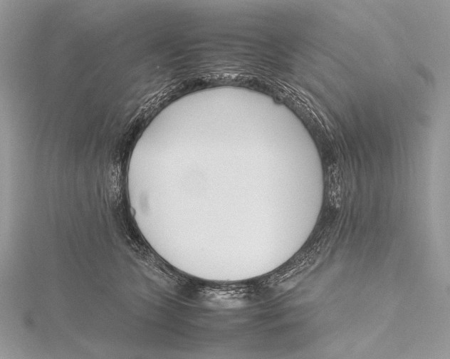 X0000115740563200912031429