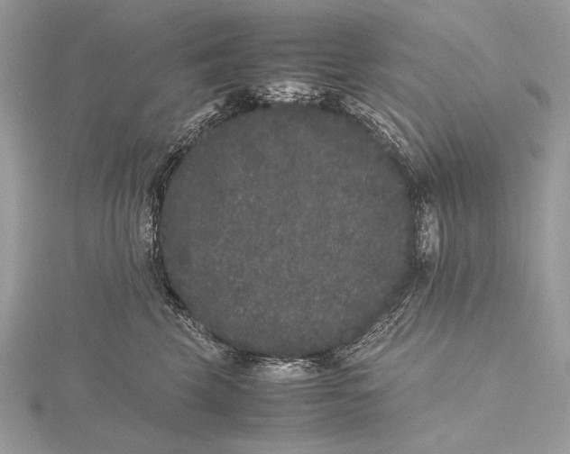 X0000115740569200912031430