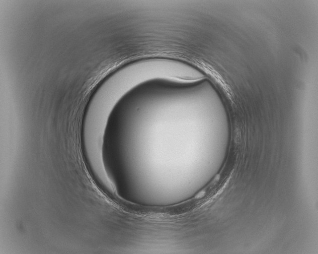 X0000115740577200912031429