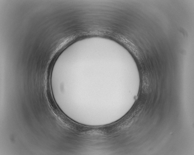 X0000115740578200912031429