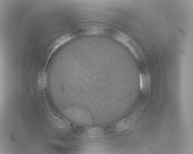 X0000115740579200912031429