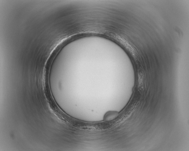 X0000115740580200912031429