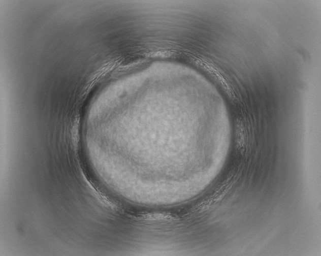 X0000115740586200912031429