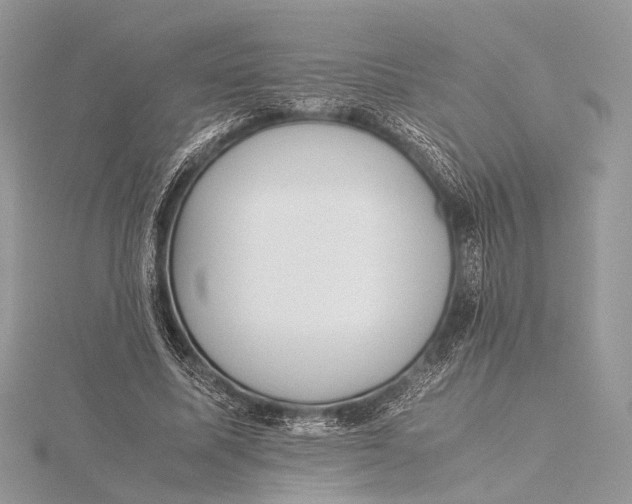 X0000115740587200912031429