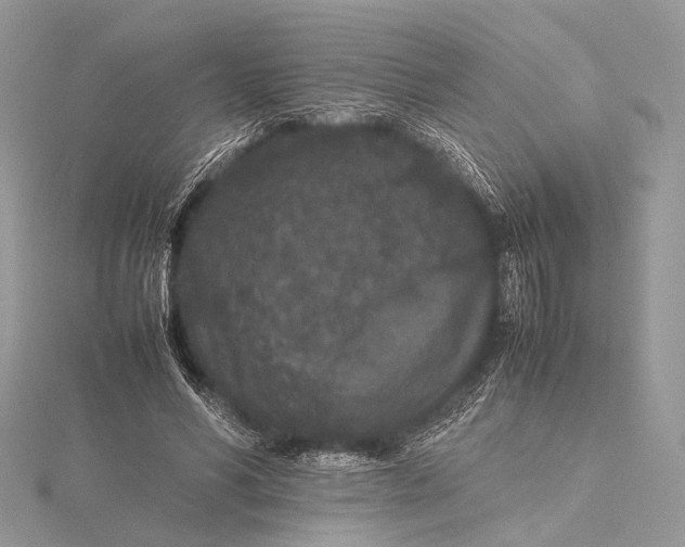 X0000115740590200912031429