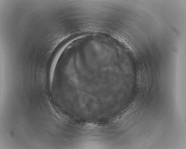 X0000115740592200912031429