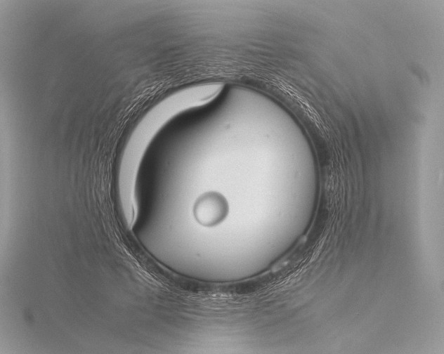 X0000115740593200912031429