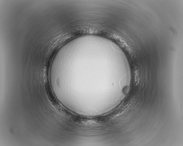 X0000115740594200912031429