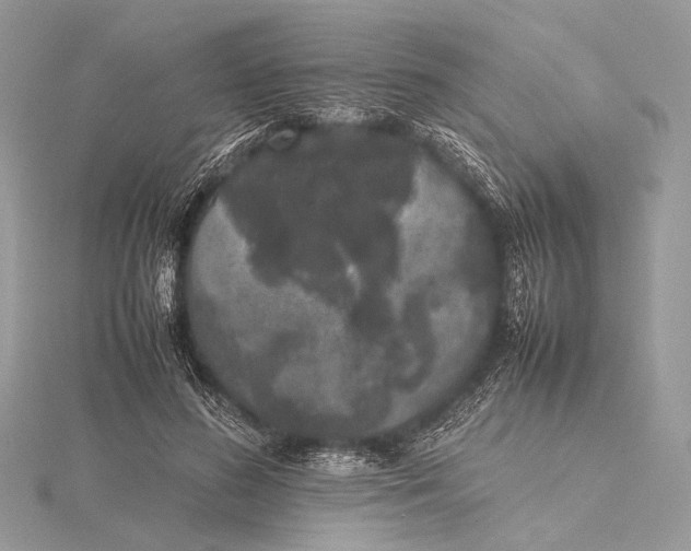 X0000115740596200912031429