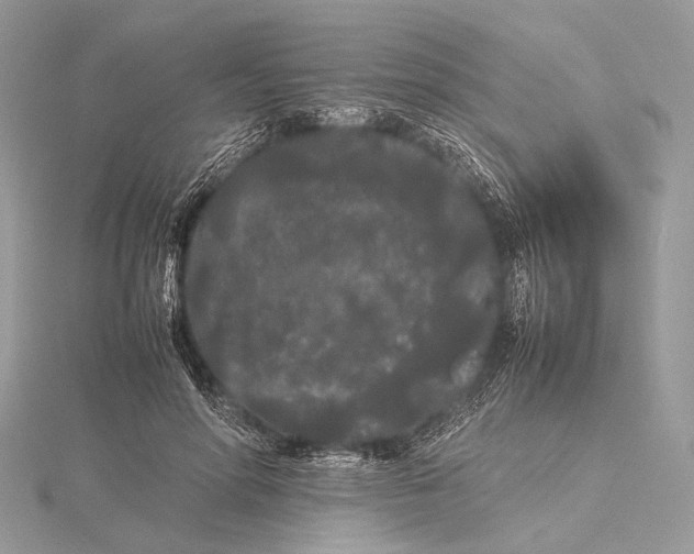 X0000115740598200912031429