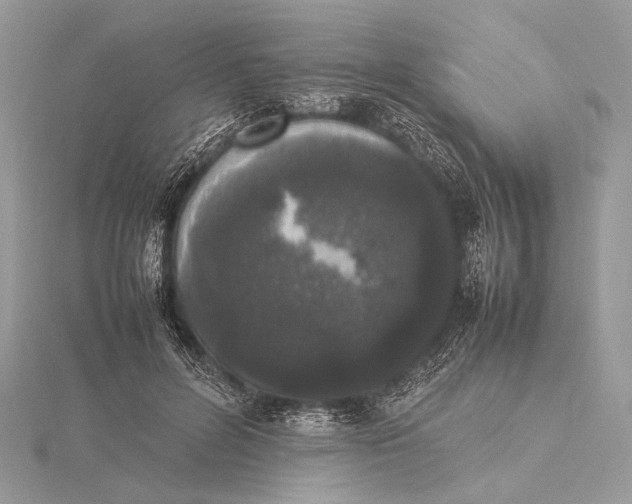 X0000115740600200912031429