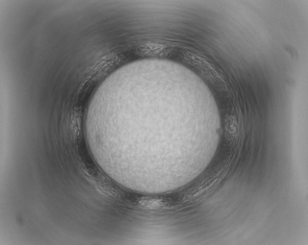 X0000115740602200912031429