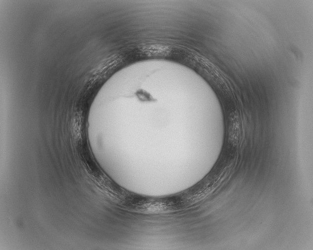 X0000115740604200912031429