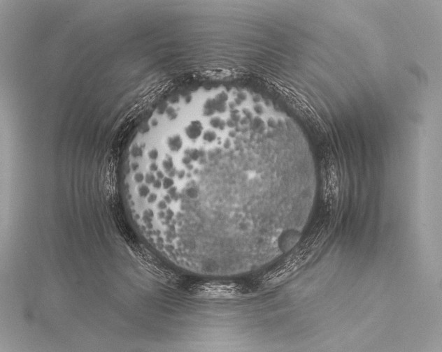 X0000115740606200912031429