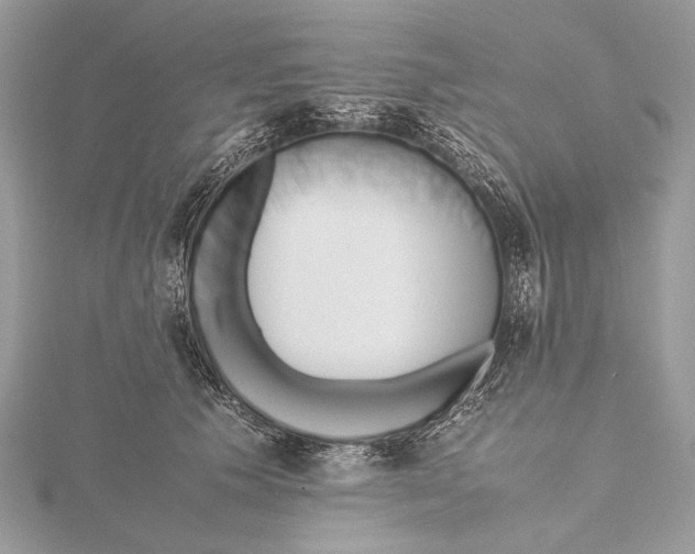 X0000115740609200912031429