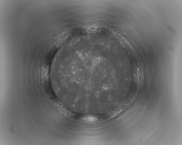 X0000115740610200912031429