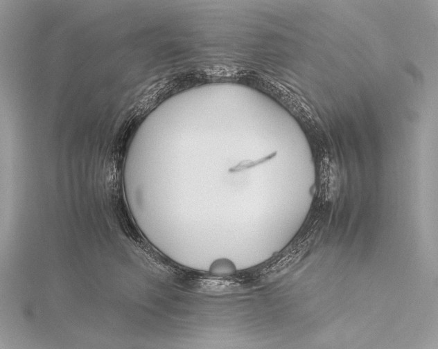 X0000115740614200912031429