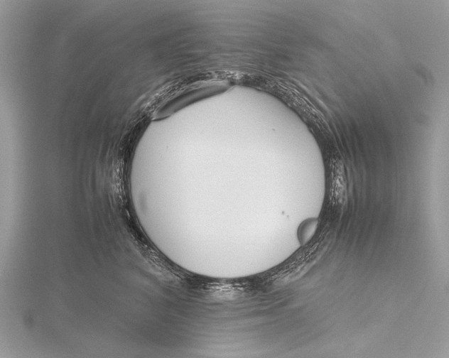 X0000115740616200912031429