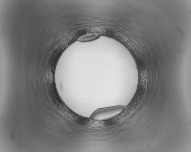 X0000115740617200912031428