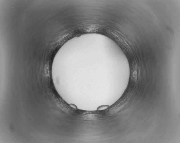 X0000115740620200912031428